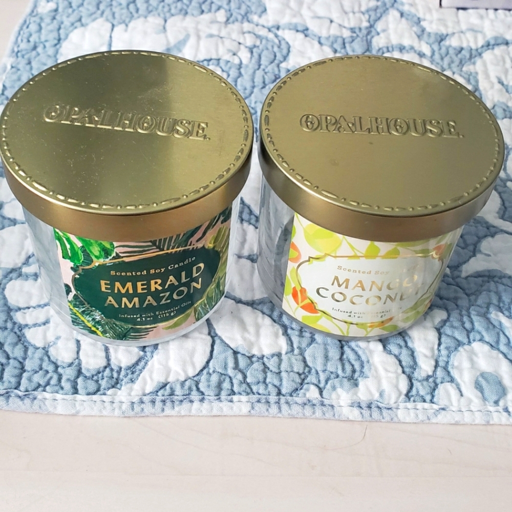Opalhouse Candle Jars